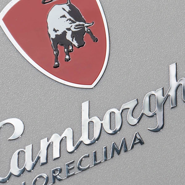 Nickel glänsande värmebeständig logotyp