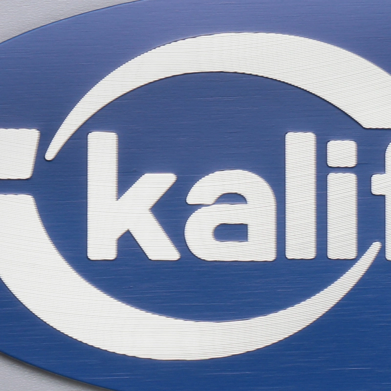 Maskin metall pressgjutning aluminium emblem